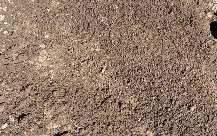 Screened Topsoil